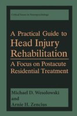 A Practical Guide to Head Injury Rehabilitation(English, Paperback, Wesolowski Michael D.)