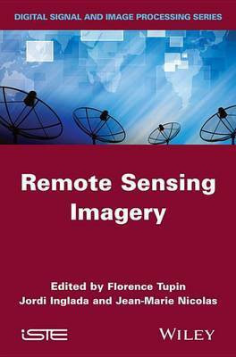 Remote Sensing Imagery(English, Electronic book text, unknown)