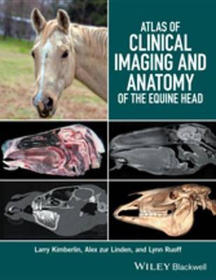 Atlas of Clinical Imaging and Anatomy of the Equine Head(English, Electronic book text, Kimberlin Larry)