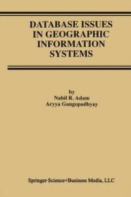 Database Issues in Geographic Information Systems(English, Paperback, Adam Nabil R.)