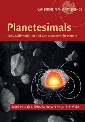 Planetesimals(English, Hardcover, unknown)