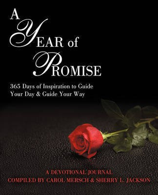 A Year of Promise(English, Paperback, Mersch Carol)