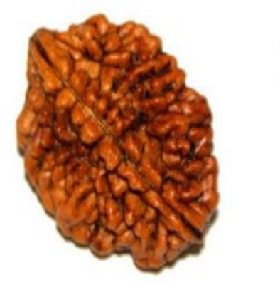 om rudraksha 2 mukhi rudraksha Wood Pendant