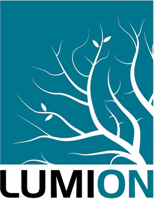 Lumion Pro 9.5(Perpetual / Lifelong, 1 PC)