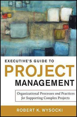 Executive's Guide to Project Management(English, Electronic book text, Wysocki Robert K.)