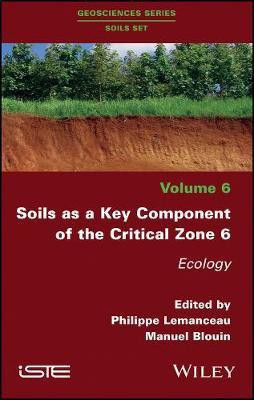 Soils as a Key Component of the Critical Zone 6(English, Hardcover, unknown)