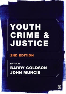 Youth Crime and Justice(English, Hardcover, unknown)