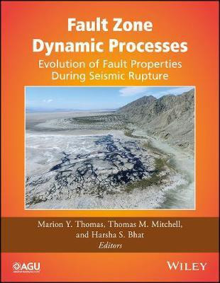 Fault Zone Dynamic Processes(English, Hardcover, unknown)