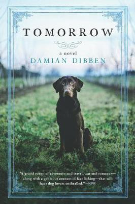 Tomorrow(English, Paperback, Dibben Damian)