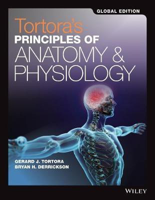Tortora's Principles of Anatomy and Physiology(English, Paperback, Tortora Gerard J.)