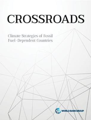 Diversification and cooperation in a decarbonizing world(English, Paperback, Peszko Grzegorz)