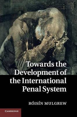 Towards the Development of the International Penal System(English, Paperback, Mulgrew Roisin)