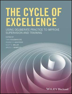 The Cycle of Excellence(English, Electronic book text, unknown)
