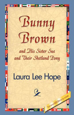 Bunny Brown and His Sister Sue and Their Shetland Pony(English, Hardcover, Hope Laura Lee)