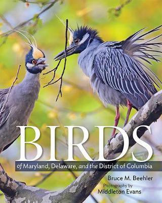 Birds of Maryland, Delaware, and the District of Columbia(English, Hardcover, Beehler Bruce M.)