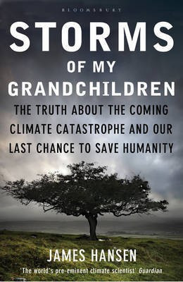 Storms of My Grandchildren(English, Paperback, Hansen James)