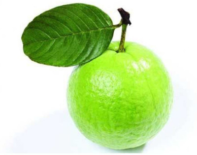 FLARE SEEDS GUAVA FRUIT HYBRID SEEDS Seed(10 per packet)
