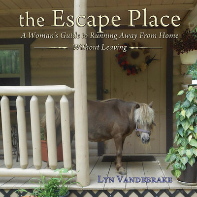 The Escape Place(English, Paperback, Vandebrake Lyn)