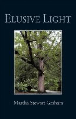Elusive Light(English, Paperback, Graham Martha Stewart)