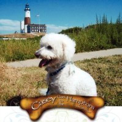 Casey Goes to the Hamptons(English, Paperback, Case Cathy)