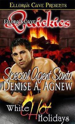 Special Agent Santa(English, Electronic book text, Agnew Denise A)