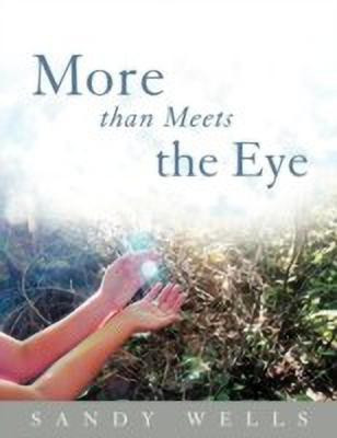 More than Meets the Eye(English, Paperback, Wells Sandy)