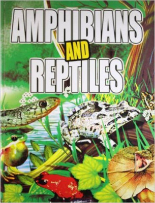 Amphibians and Reptiles(English, Paperback, Om Books Editorial Team)