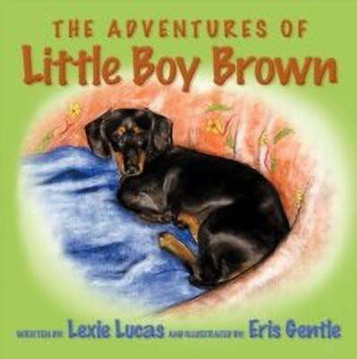 The Adventures of Little Boy Brown(English, Paperback, Lucas Lexie)