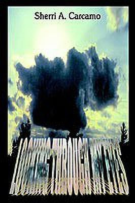 Looking Through My Eyes(English, Paperback, Carcamo Sherri A.)