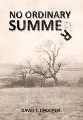 No Ordinary Summer(English, Paperback, Lindgren David T.)