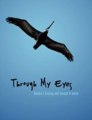 Through My Eyes(English, Paperback, Grasley Sandra L)