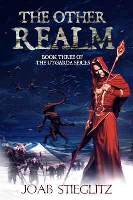 The Other Realm(English, Paperback, Stieglitz Joab)