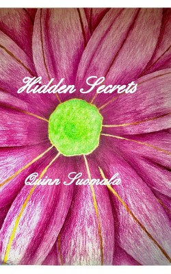 Hidden Secrets(English, Paperback, Suomala Quinn)