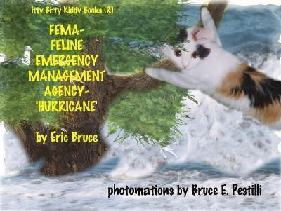 FEMA-Feline Emergency Management Agency-Hurricane(English, Paperback, Pestilli Bruce)