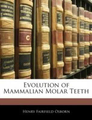 Evolution of Mammalian Molar Teeth(English, Paperback, Osborn Henry Fairfield)