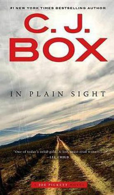 In Plain Sight(English, Electronic book text, Box C. J.)