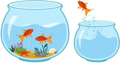 Littlebuds 80 cm Fish Tank Removable Sticker(Pack of 1)