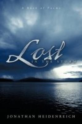 Lost in the Storm(English, Paperback, Jonathan Heidenreich)