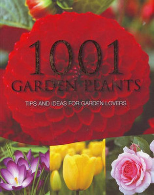 1001 Most Popular Garden Plants(English, Hardcover, unknown)