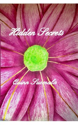 Hidden Secrets(English, Paperback, Suomala Quinn)