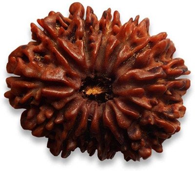 GCMR 13 Mukhi Rudraksha Lab Certified Wood Pendant