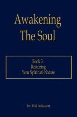 Awakening the Soul: Bk. 3(English, Paperback, Missett Bill)