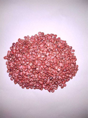 Cosmos CLUSTER BEAN SEEDS Seed(100 per packet)