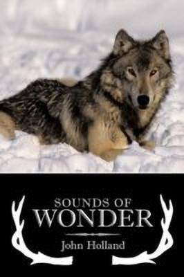 Sounds of Wonder(English, Paperback, Holland John)