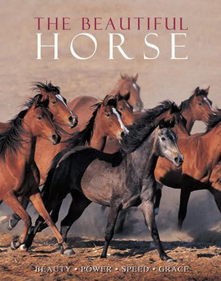 The Beautiful Horse(English, Hardcover, unknown)