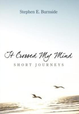 It Crossed My Mind(English, Hardcover, Burnside Stephen E.)