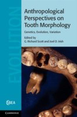 Anthropological Perspectives on Tooth Morphology(English, Hardcover, unknown)