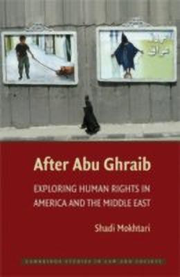 After Abu Ghraib(English, Paperback, Mokhtari Shadi)