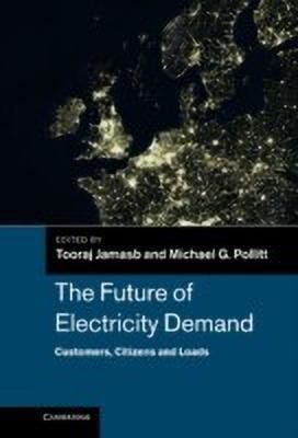 The Future of Electricity Demand(English, Hardcover, unknown)