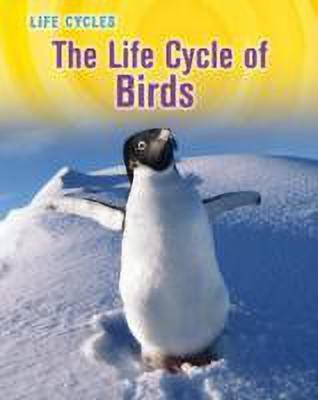 The Life Cycle of Birds(English, Paperback, Gray Susan H.)